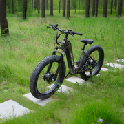 EUNORAU FAT-AWD 3.0 alternate view