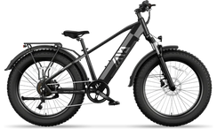 TST® Defender 26" Fat Tire Ebike For Adult