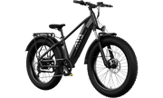 TST® Defender 26" Fat Tire Ebike For Adult