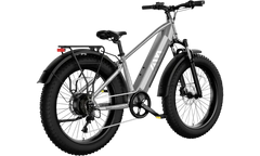 TST® Defender 26" Fat Tire Ebike For Adult