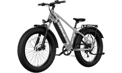 TST® Defender 26" Fat Tire Ebike For Adult