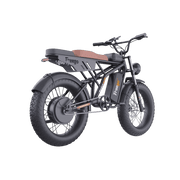 Freego Shotgun Prime F2 Pro Electric Cargo Bike
