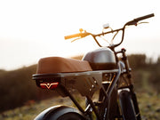 Freego Flash F3 Pro Max eBike