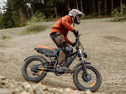 Freego Flash F3 Pro