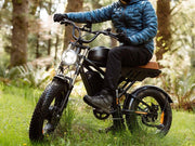 Freego Flash F3 Pro Max eBike