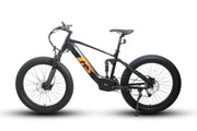 EUNORAU FAT-HS/HUNTER X8 Electric Bike