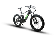 EUNORAU FAT-HS/HUNTER X8 Electric Bike