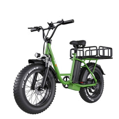 Freego FB-20X Step-Through Fat Tire Electric Bicycle for Adventure and Commuting