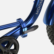 FT1 Fat Tire Electric Trike