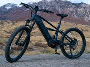 Forest XM MTB