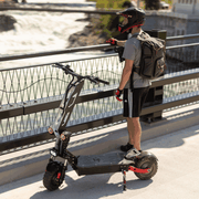 Freego D11 Landtiger Electric Scooter