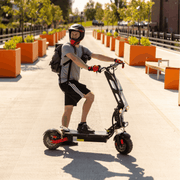 Freego D11 Landtiger Electric Scooter