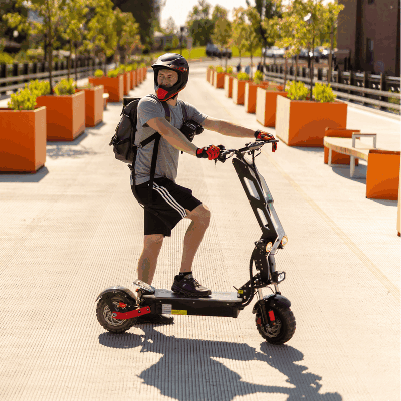 Freego D11 Landtiger Electric Scooter