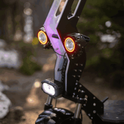 Freego D11 Landtiger Electric Scooter