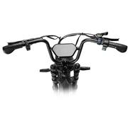 Cyberbike Blitz Electric Bicycle – Unmatched Performance and Style