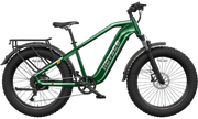 HOVSCO™ HovAlpha 26" Fat Tire Electric Bike