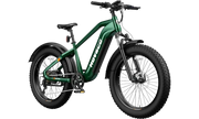 HOVSCO™ HovAlpha 26" Fat Tire Electric Bike