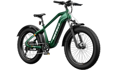 HOVSCO™ HovAlpha 26" Fat Tire Electric Bike