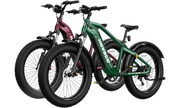 HOVSCO™ HovAlpha 26" Fat Tire Electric Bike