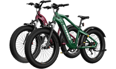 HOVSCO™ HovAlpha 26" Fat Tire Electric Bike