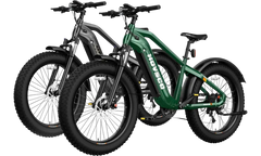 HOVSCO™ HovAlpha 26" Fat Tire Electric Bike