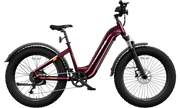 HOVSCO™ HovAlpha 26" Step-Thru Fat Tire Ebike