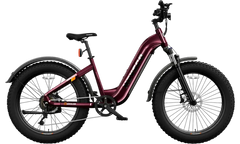 HOVSCO™ HovAlpha 26" Step-Thru Fat Tire Ebike