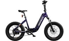 HOVSCO™ HovBeta 20" Foldable Fat Tire Electric Bike