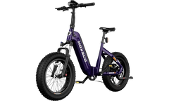 HOVSCO™ HovBeta 20" Foldable Fat Tire Electric Bike