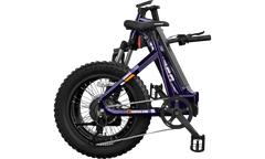 HOVSCO™ HovBeta 20" Foldable Fat Tire Electric Bike