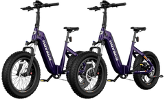 HOVSCO™ HovBeta 20" Foldable Fat Tire Electric Bike