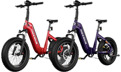 HOVSCO™ HovBeta 20" Foldable Fat Tire Electric Bike