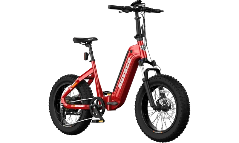 HOVSCO™ HovBeta 20" Foldable Fat Tire Electric Bike