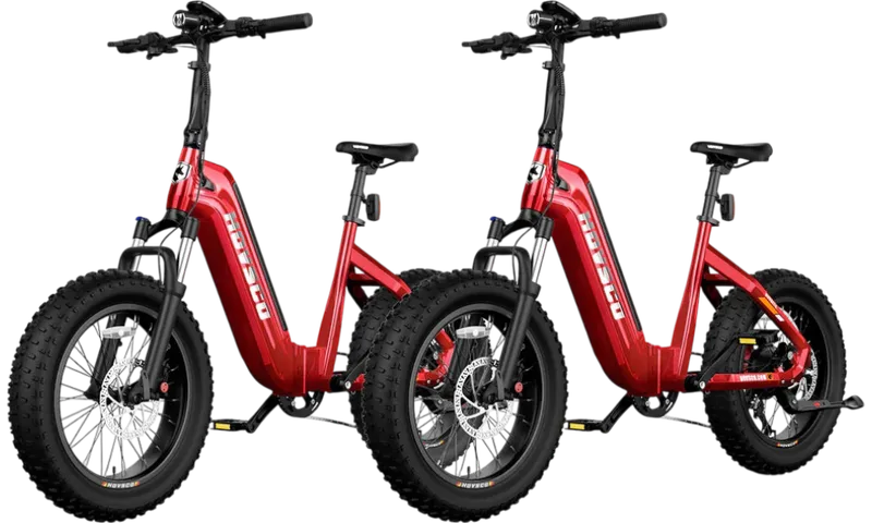 HOVSCO™ HovBeta 20" Foldable Fat Tire Electric Bike
