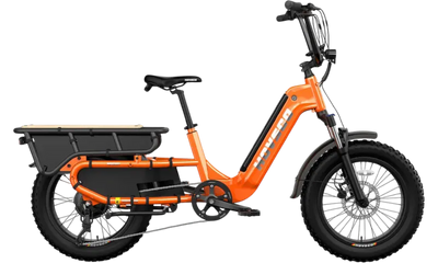 HOVSCO™ HovCart 20“ Step-Thru Electric Fat Tire Cargo Bike