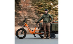 HOVSCO™ HovCart 20“ Step-Thru Electric Fat Tire Cargo Bike