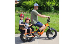 HOVSCO™ HovCart 20“ Step-Thru Electric Fat Tire Cargo Bike