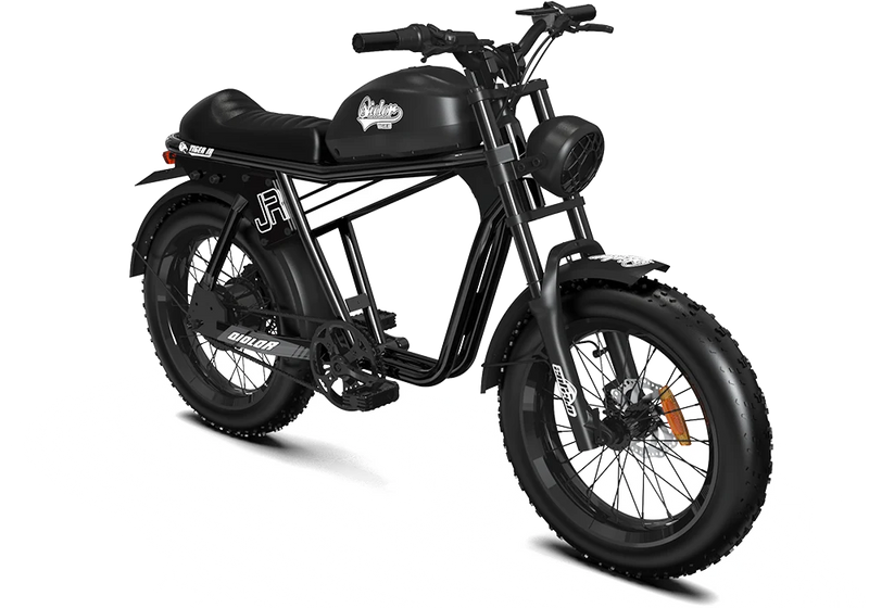 Qiolor Tiger JR Retro Fat Tire E-Bike, 500W 48V