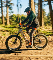 Cyrusher L5 Electric Bike