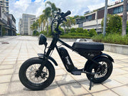 Freego Mini M1 Children's Electric Bike