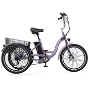 MC 350 Powerful and Eco-Friendly Electric Tricycle