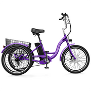 MC 350 Powerful and Eco-Friendly Electric Tricycle