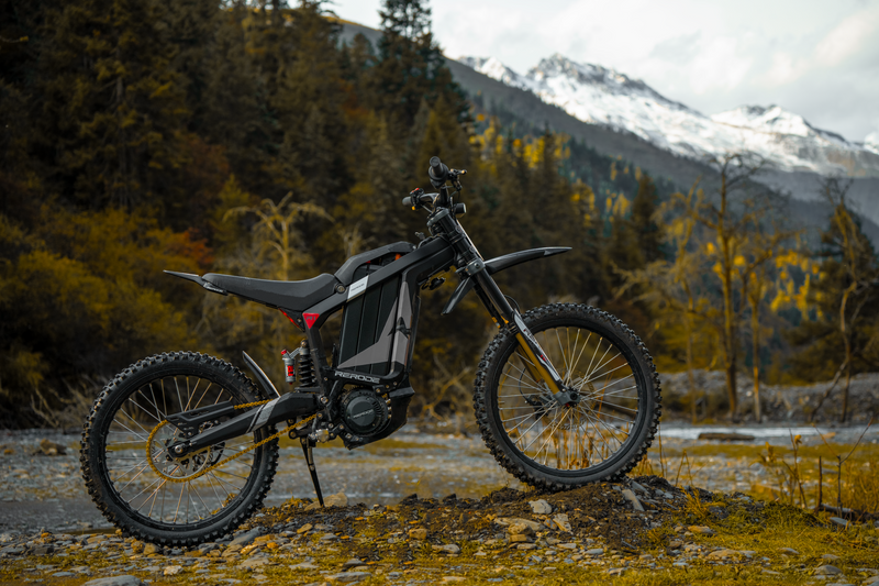 Cyberbike Charger R1 eMoto