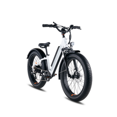 Rad Power RadRover™ 6 Plus Electric Fat Tire Bike - Experience Thrilling Rides with a Top Speed of 20mph!