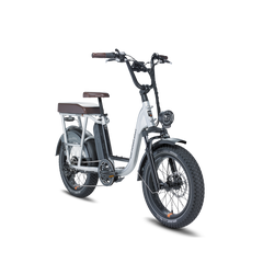 Rad Power RadRunner™ Plus Electric Bike - Unleash Your Adventure with 20mph Top Speed!