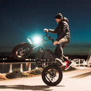 Freego S1 Café Racer eBike
