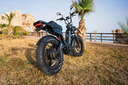 Cyrusher Scout Electric Bike