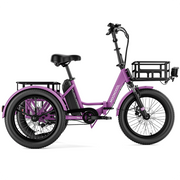 TK1 Foldable Electric Tricycle