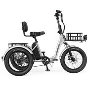 TK Pro Powerful and Comfortable Electric Tricycle