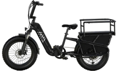 TST® Carrier 20'' Cargo Electric Bike